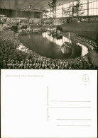 Ansichtskarte Berlin Internationale Grüne Woche: Teich 1968 - Other & Unclassified