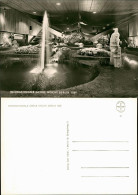 Ansichtskarte Berlin Internationale Grüne Woche: Springbrunnen 1968 - Autres & Non Classés