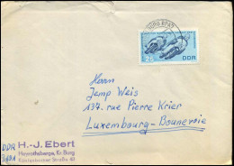 Cover To Luxemburg - Briefe U. Dokumente