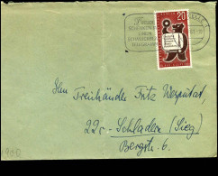 Cover To Schladen - Lettres & Documents