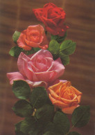 FLEURS Vintage Carte Postale CPSM #PAS541.FR - Flowers