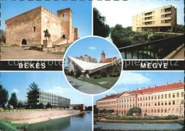 72537435 Bekes Megye Schloss Teilansichten Bekes Megye - Hongrie