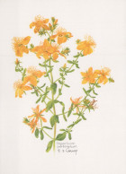 FLEURS Vintage Carte Postale CPSM #PAR340.FR - Flowers