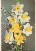 FLEURS Vintage Carte Postale CPSM #PAR038.FR - Flowers