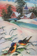 OISEAU Animaux Vintage Carte Postale CPSM #PAM956.FR - Birds