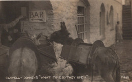 BURRO Animales Vintage Antiguo CPA Tarjeta Postal #PAA014.ES - Donkeys