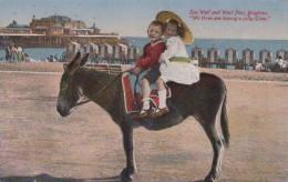 BURRO Animales Niños Vintage Antiguo CPA Tarjeta Postal #PAA348.ES - Donkeys