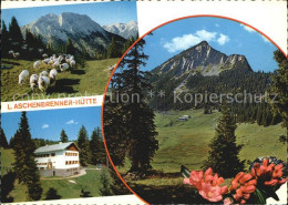 72537386 Tirol Region Gufferthuette Schafherde Halserspitze Tirol Region - Other & Unclassified