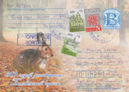CONEJO Animales Vintage Tarjeta Postal CPSM #PBR181.ES - Autres & Non Classés