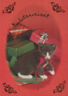 GATO GATITO Animales Vintage Tarjeta Postal CPSM #PBQ864.ES - Cats