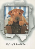 PERRO Animales Vintage Tarjeta Postal CPSM #PBQ408.ES - Dogs