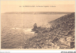 AFFP4-29-0297 - LA POINTE DU RAZ - La Baie Des Trépassés - Le Menhir  - La Pointe Du Raz