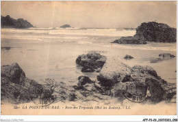 AFFP3-29-0211 - LA POINTE DU RAZ - Baie Des Trépassés  - La Pointe Du Raz