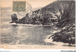 AFFP3-29-0209 - LA POINTE DU RAZ - Baie Des Trépassés - Le Menhir  - La Pointe Du Raz