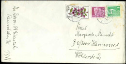 Cover To Hannover - Lettres & Documents