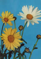 FLOWERS Vintage Postcard CPSM #PAR578.GB - Flowers