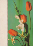 FLOWERS Vintage Postcard CPSM #PAR096.GB - Flowers