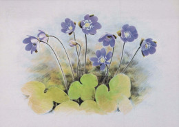 FLOWERS Vintage Postcard CPSM #PAR398.GB - Flowers
