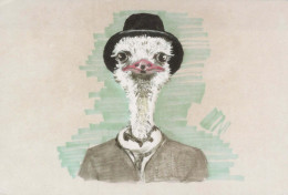 OISEAU Animaux Vintage Carte Postale CPSM #PBR647.FR - Oiseaux