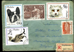 Registered Cover To Marcinelle, Belgium - Lettres & Documents