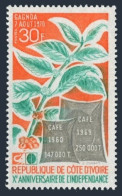 Ivory Coast 297, MNH. Independence-10, 1970. Coffee Branch, Increased Production - Costa D'Avorio (1960-...)