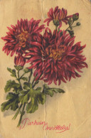 FLOWERS Vintage Postcard CPA #PKE702.GB - Fleurs