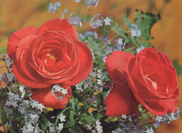 FLOWERS Vintage Postcard CPSM #PBZ646.GB - Flowers