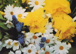FLOWERS Vintage Postcard CPSM #PBZ346.GB - Fleurs