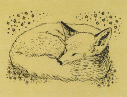 FOX Animals Vintage Postcard CPSM #PBS822.GB - Autres & Non Classés