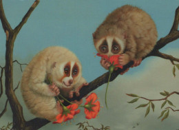 LEMUR Animals Vintage Postcard CPSM #PBS892.GB - Other & Unclassified