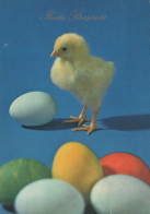 EASTER CHICKEN EGG Vintage Postcard CPSM #PBP072.GB - Easter