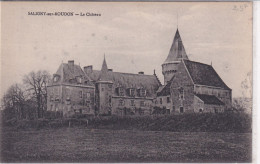 Saligny Sur Roudon (03 Allier) Le Château - édit. Bardet - Other & Unclassified
