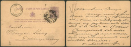 EP Au Type 5ctm Mauve Obl Double Cercle "Charleroi (ville Haute)" (1879) > Dampremy - Tarjetas 1871-1909