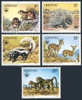 Lesotho 228-232, MNH. Mi 228-232. WWF 1977. Rabbit, Porcupine, Polecat, Baboons. - Lesotho (1966-...)