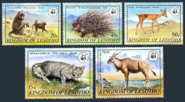 Lesotho 351-355, MNH. Mi 361-365. WWF 1982: Wild Cat, Chacma Baboon, Eland,Oribi - Lesotho (1966-...)