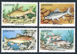 Lesotho 237-240, MNH. Michel 237-240. Fresh-water Fish, 1977. - Lesotho (1966-...)