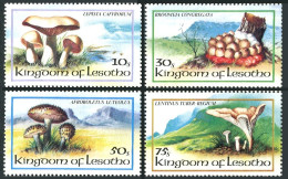 Lesotho 390-393, MNH. Michel 411-414. Local Mushrooms, 1983. - Lesotho (1966-...)