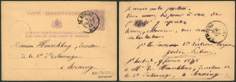 EP Au Type 5ctm Mauve Obl Double Cercle "St-Hubert" > Seraing - Briefkaarten 1871-1909