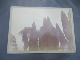 1893 LOT DE 2 PHOTO SUR CARTON SAINT CYPRIEN - Alte (vor 1900)