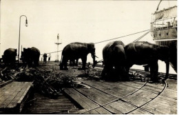 Singapore Harbour Elephants Scene Old Real Photo PC 1930 Mailed - Singapour