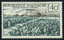 Malagasy C62,lightly Hinged.Michel 456. Tobacco Field,1960. - Madagascar (1960-...)