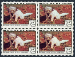 Malagasy 512 Block/4,MNH.Michel 726. Dogs 1974. Tulear Dog. - Madagaskar (1960-...)