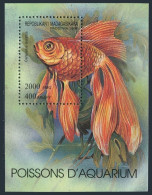 Malagasy 1199,MNH.Michel 1734 Bl.263. Aquarium Fish 1994. - Madagaskar (1960-...)