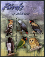 Malawi 716 Af Sheet, MNH. Birds Of Africa. 2003. - Malawi (1964-...)
