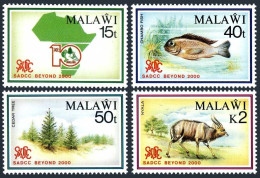 Malawi 570-73,573a,MNH. SADCC Beyond 2000:Map,Chambo Fish,Nyala,Cedar Tree.1990. - Malawi (1964-...)