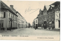 Wetteren Zandstraat - Rue Des Sables Circulée En 1902 - Wetteren