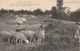 (Au Pays Creusois.) Bergère Et Ses Moutons. (beau Plan.) - Elevage