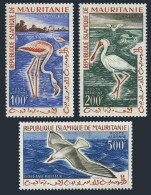 Mauritania C14-C16, MNH. Michel 178-180. Birds 1961. Flamingos, Spoonbills, Gull - Mauretanien (1960-...)