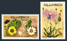 Morocco 305-306,MNH.Michel 754-755. Nature Protection.Flowers 1973. - Marruecos (1956-...)