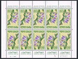 Morocco 116-117 Sheets,MNH.Mi 543-544. Flowers 1965.Gladiolus,Capperis. - Maroc (1956-...)